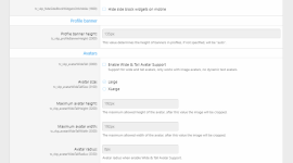 vkp settings 2.png